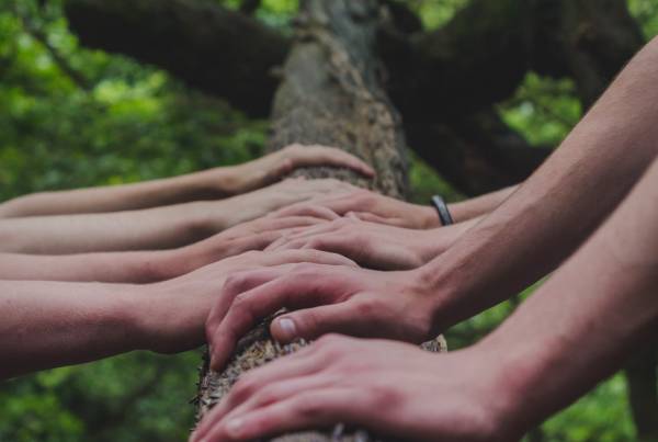 montessori-paedagogik